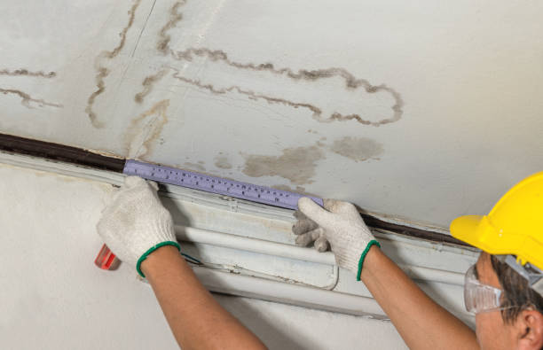 Reliable Structural Drying contractor in Milford, NJ by Water Damage Irwin